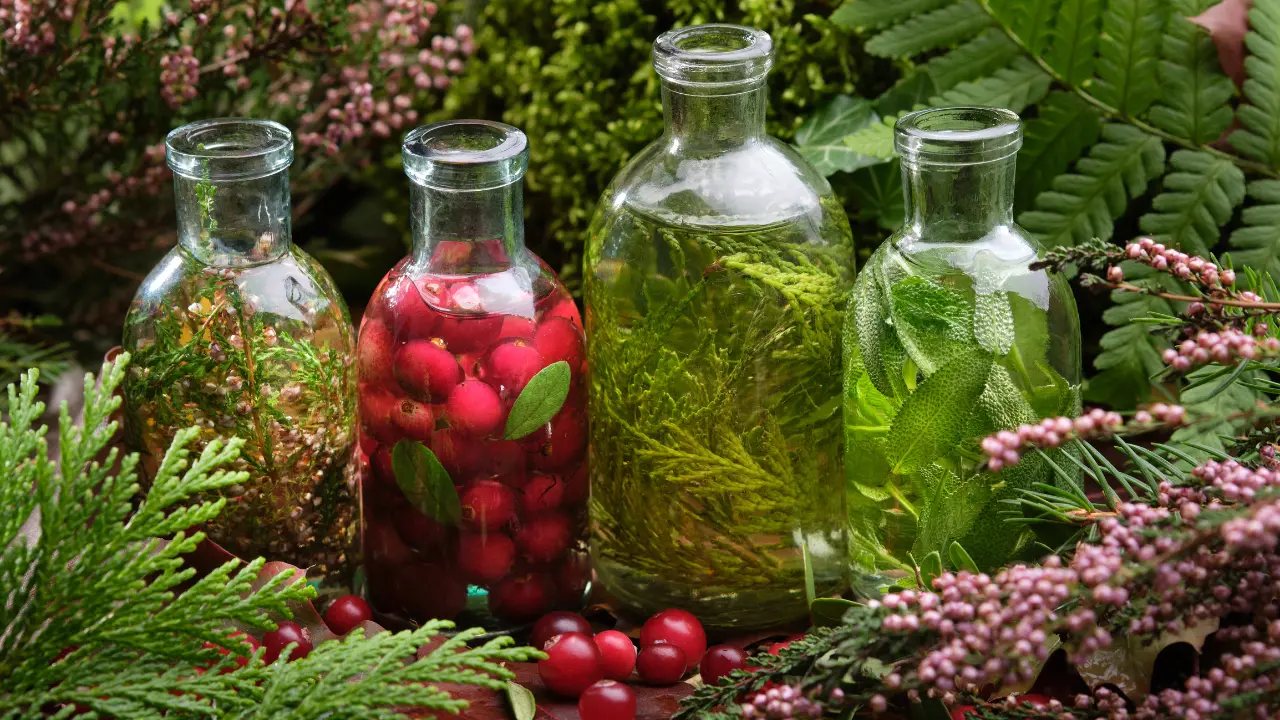 Naturopathie Photo de bocal, plante et fleur représentant la naturopathie